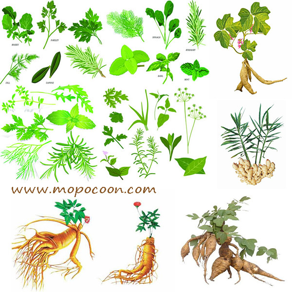 Quality Green Tangerine Peel Extract for sale