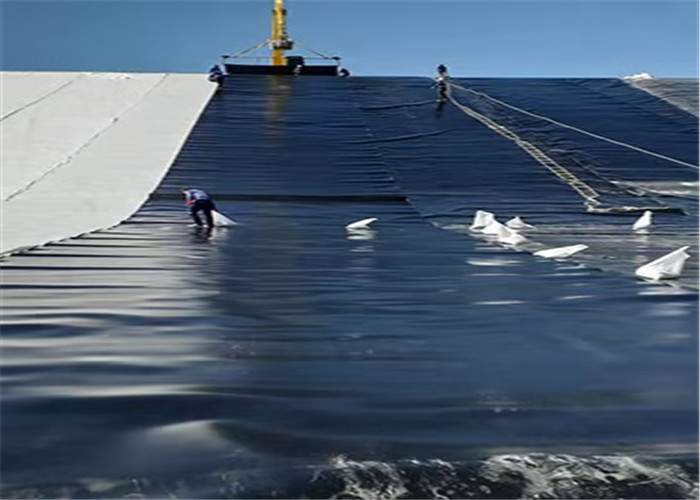 Quality 1mm Soudure 2mm Polyethylene Geomembrane Hdpe For Fish Farm for sale