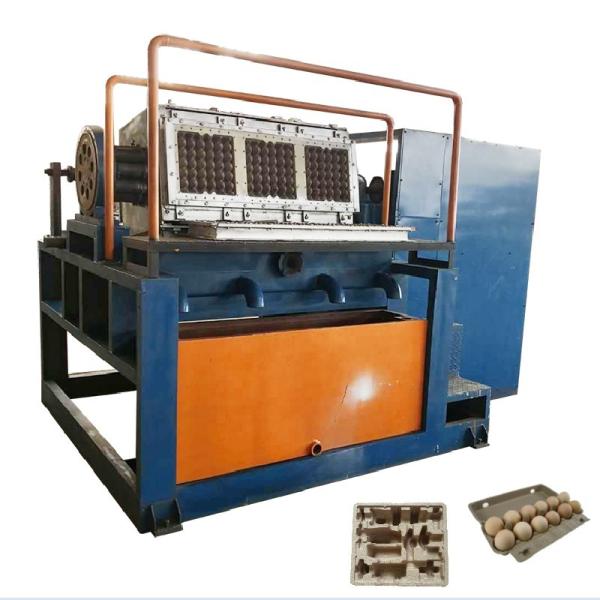 Eco Friendly Rotary Sustainable Paper Egg Tray Making Machine Environmentally
