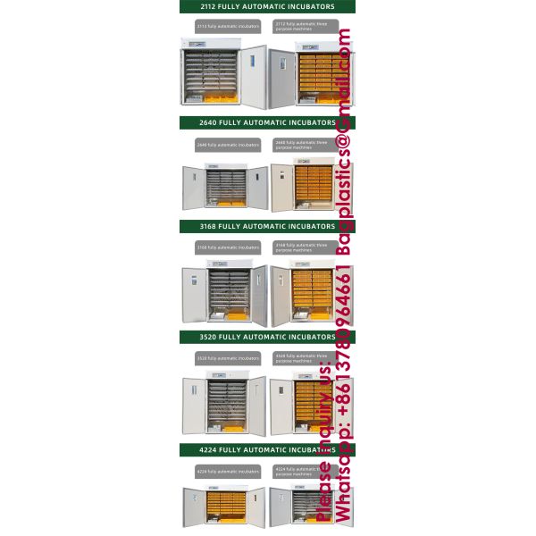 5000 Eggs Incubator Automatic Egg Fully Automatic Best Selling Poultry Egg Incubator Great Capacity Make Chicken Egg Incubator Hot Fully Intelligent