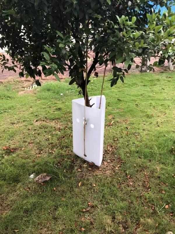 Quality UV Resistant 3mm Plastic Corrugated Signs PP Sheet Plastic Tree Guard Waterproof For Protection for sale