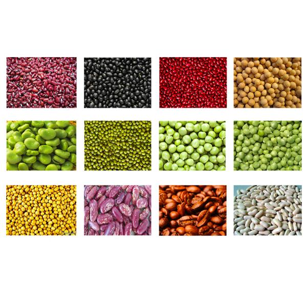 bean color sorting cases
