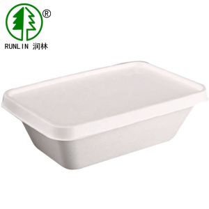 Quality Disposable Restaurants Bagasse Food Containers Dishware Fast Food Takeaway Packaging for sale