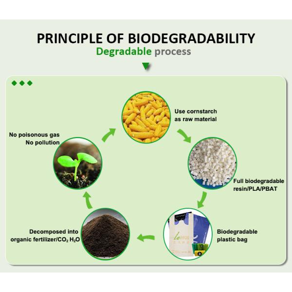 Compostable Poly Mailers With Eco Friendly Packaging Envelopes Supplies Mailing, Heavy Duty Self Seal Mailing Envelope