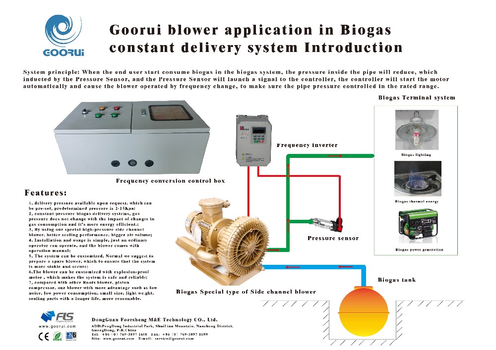 Big High Pressure Airflow For Ch4 Biogas Transfer Anti-Explosion Gas Air Blower