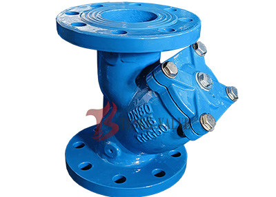 GGG50 Flanged Y Type Strainer Pn16