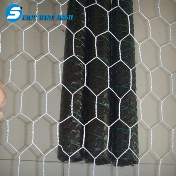 Hexagonal Wire Mesh/Hexagonal Wire Netting/Gabion Mesh