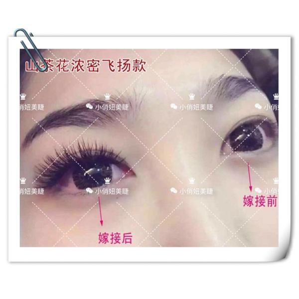 Light 3D Russian Volume Eyelash Extensions , 3D Semi Permanent Eyelashes
