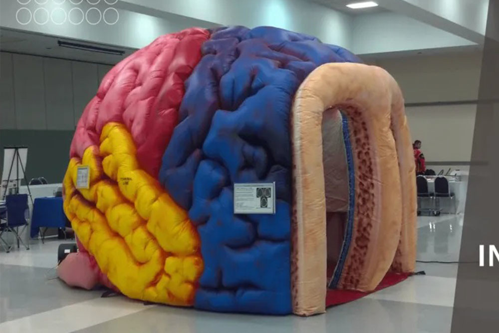 Inflatable Mega Brain Model Organs Exhibition Giant Human Big Brain Tent