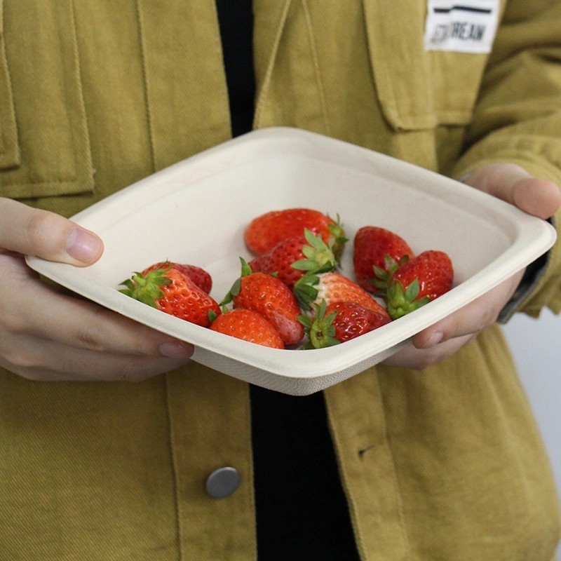 Quality Eco Biodegradable Sugarcane Disposable Bowls 16oz Square Bowl With Lid for sale