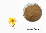 Arnica Plant Extract Powder