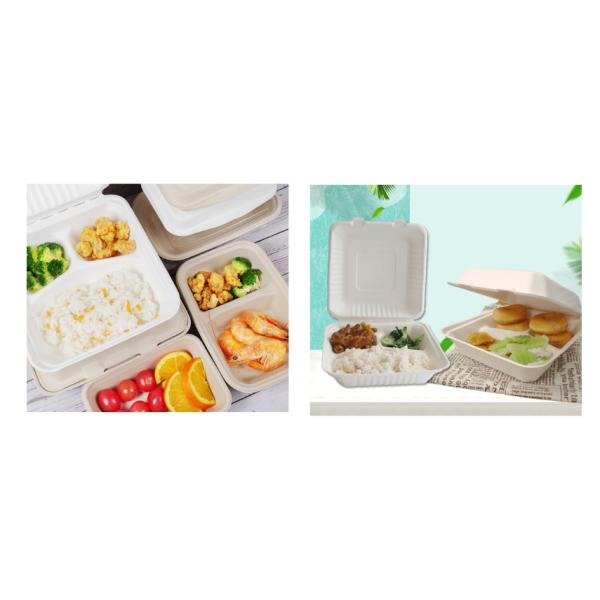 3 Compartment Sugarcane Bagasse Lunch Box Clamshell Containers For Camping Picnic