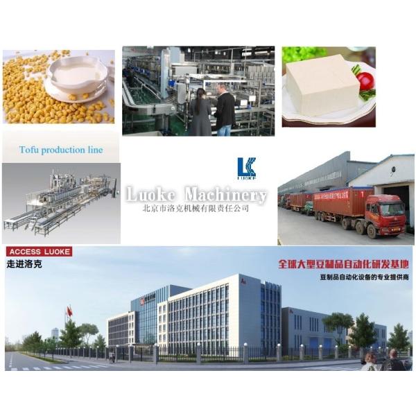 Automatic Bean Washing Machine for Soymilk Line Hotels' Essential Equipment