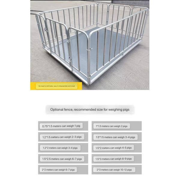 Industrial Electronic Balance Platform Floor Weighing Scales with Customized OBM Support and Carbon Steel