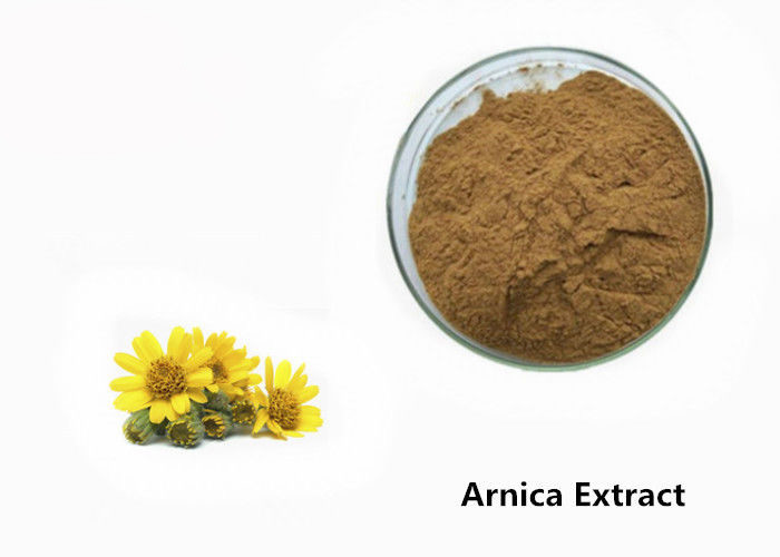 Arnica Plant Extract Powder