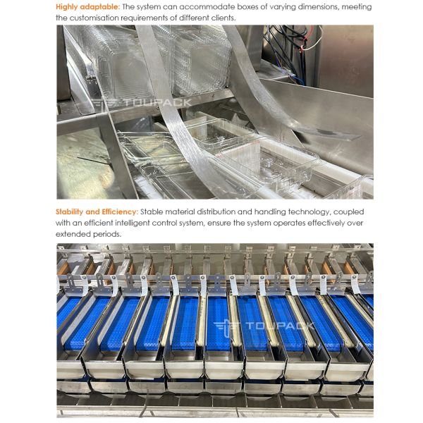 Automatic Fruit Punnet Packing Machine For Blueberry Strawberry Cherry Tomato
