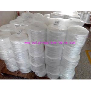 Raw White Polypropylene Twine Packing Rope Lt021 Diameter 1mm - 6mm