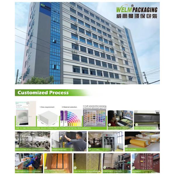 Hot Stamping clamshell Sandwich Pizza Snack Burger Boxes Packaging Custom Logo