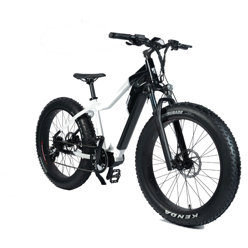 City Bicycle Domanca 48V 500W/750W/1000W Bafang Motor Full Suspension Ebike Range 30-60km