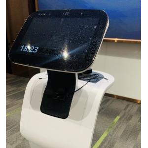 Pet Types Of Entertainment Robots Screen Touch Singing Remote Control Robot