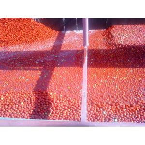 Semi Automatic Tomato Paste Processing Line 0.5t/H