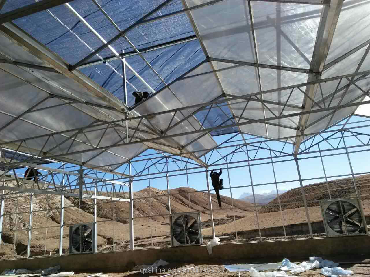 Commercial Agricultural Greenhouse with Hydroponic System and 8mm PC Sheet Covering