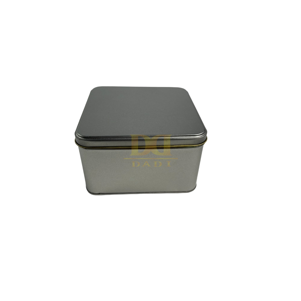 DADI Double Lid Airtight Biscuit Containers Metallic Color Airtight Tea Tin Box
