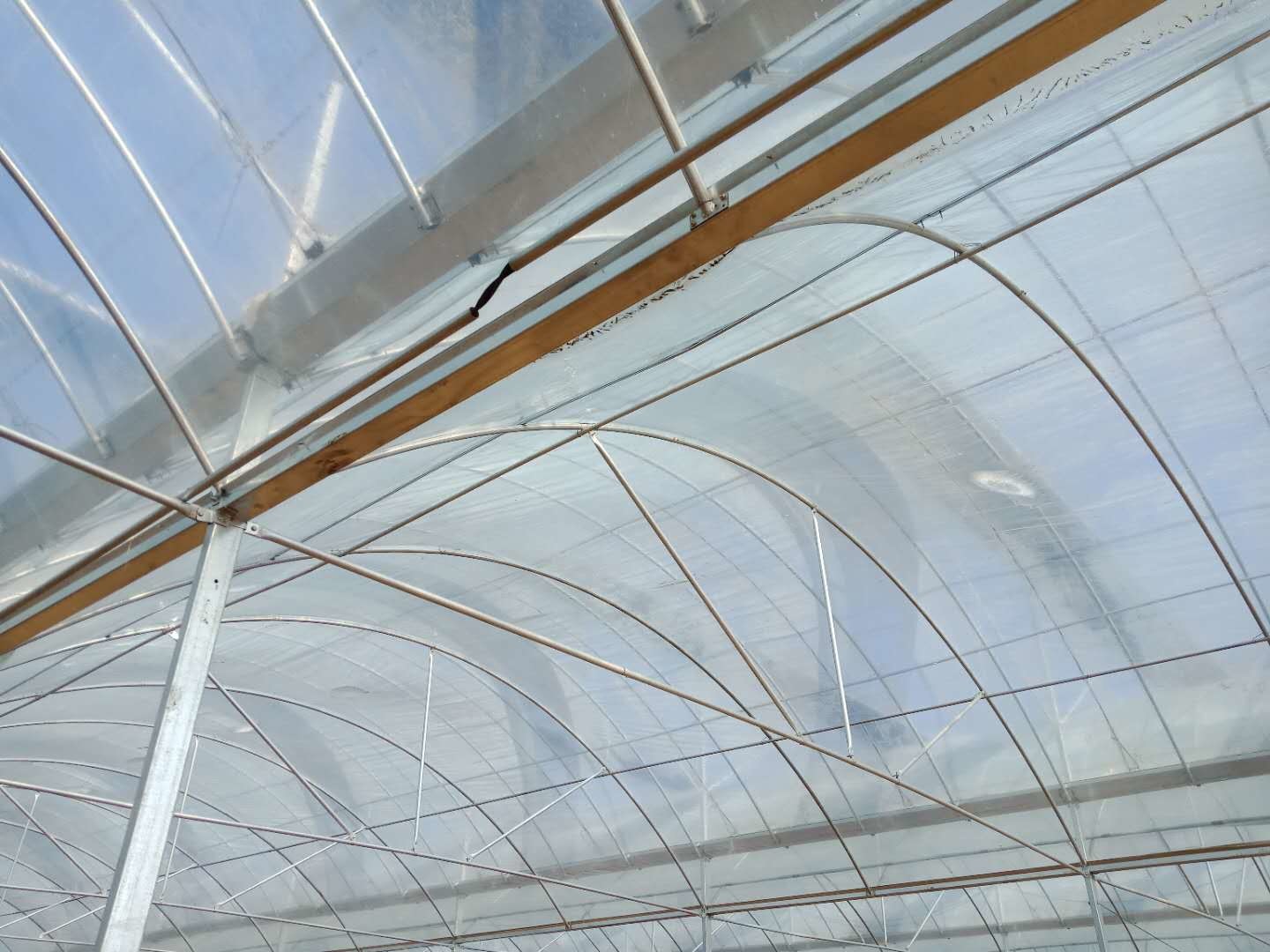 6 Foot 8 Foot Double Roof Arch Muliti Span Film Greenhouse Keep Warm For Tomatoes