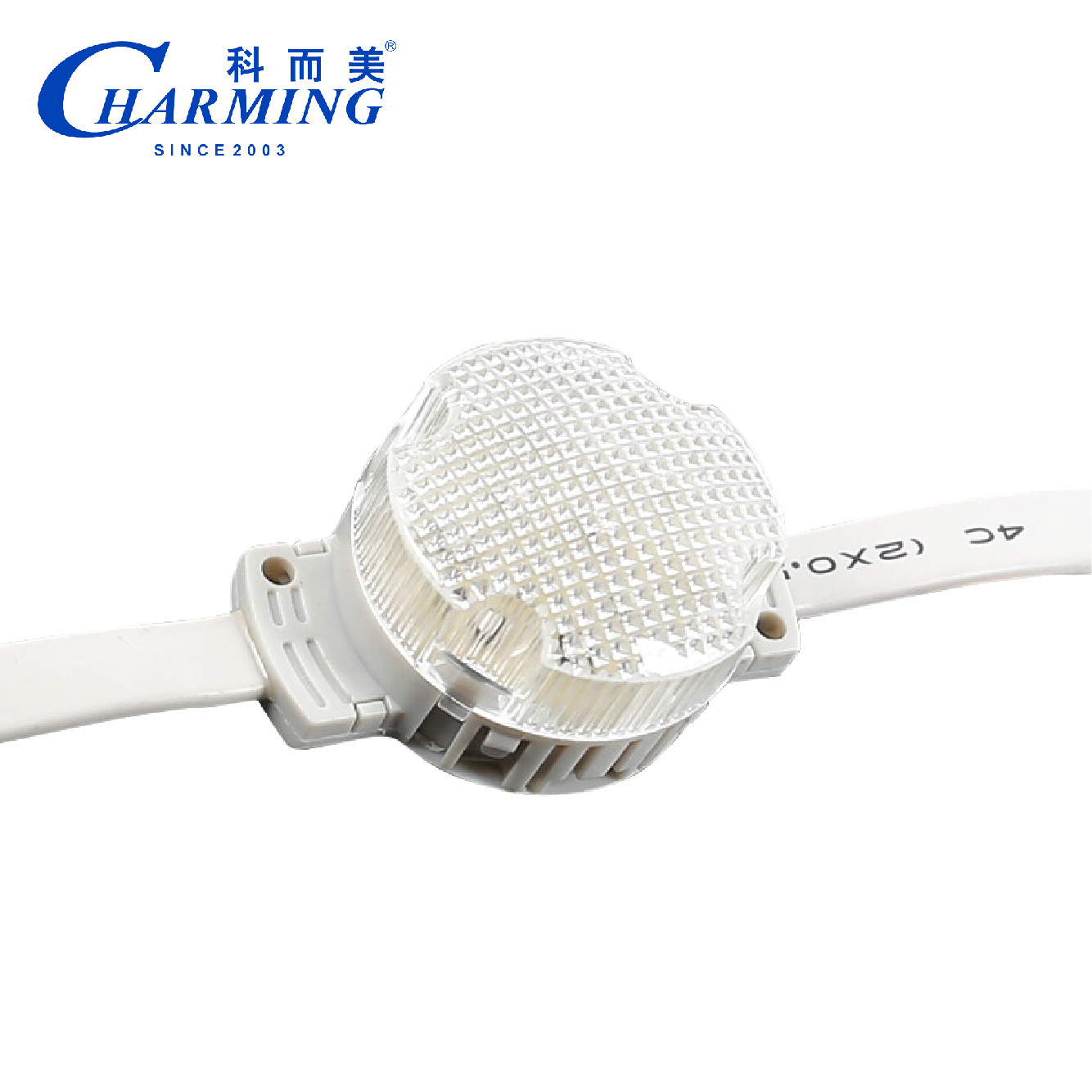 New Technology LED Pixel Lights 50C SMD3535 IP66 SPI Control Outdoor Light Exterior Wall Decoration Stage Park Lights