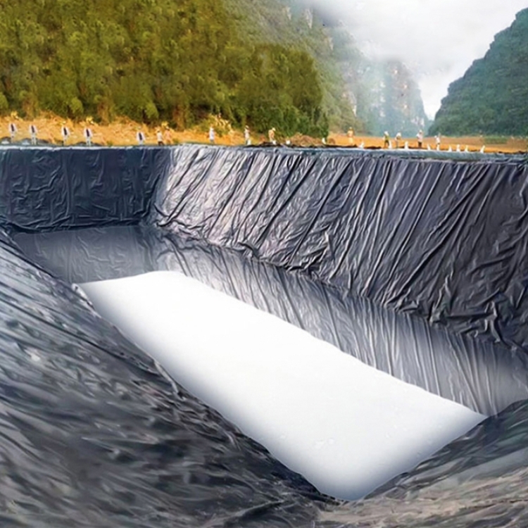 High Density Polyethylene EVA Fish Pond Liner 0.5mm 1mm for Modern Design Style as per