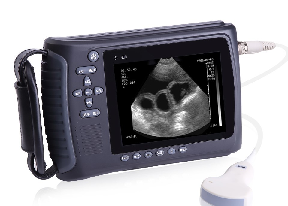 220mm Portable Handheld Ultrasound Scanner Machine B/W For Veterinary Animal