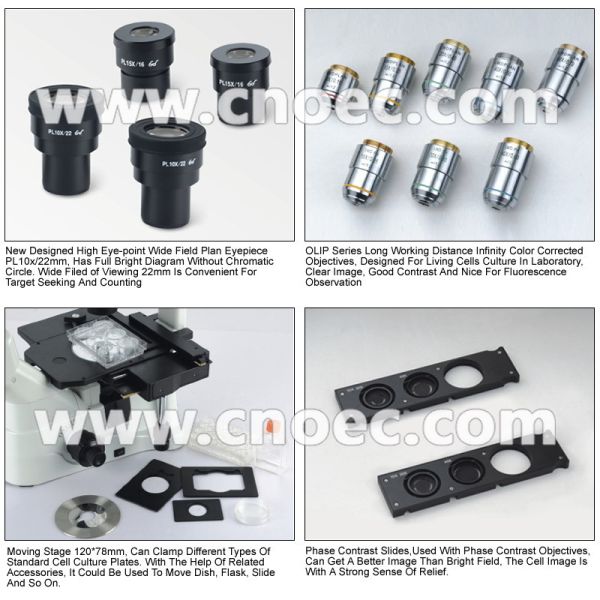 Infinity Trinocular Inverted Optical Microscope Microscopes Critical Illuminatio