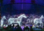360 Degree 3D Holographic Effect Projection Screen Holographic Screen Projection
