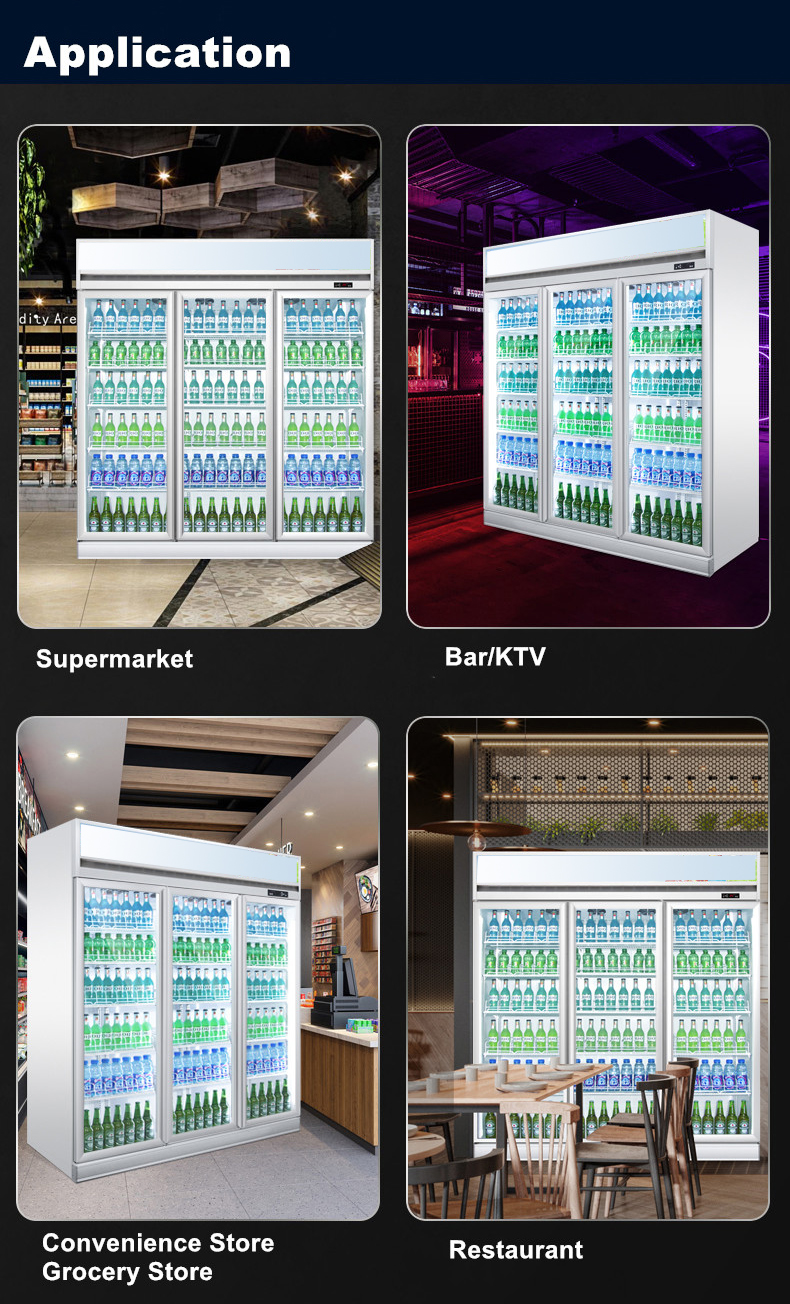 -18 To -20 2 /3/4 Door Top Mount Showcase Upright Refrigerator Freezer For Supermarket