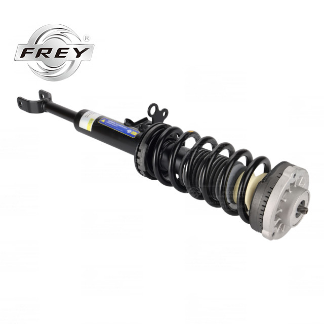 Quality 5 Series F18 Front Shock Absorber Assembly Practical 31316854579 for sale