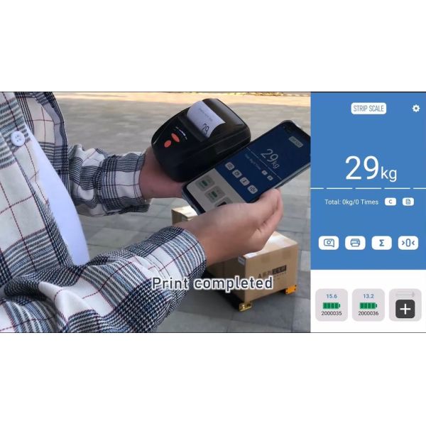 3000kg Capacity Aluminum Pallet Beam Scale with Bluetooth Connectivity for Industrial Weighing