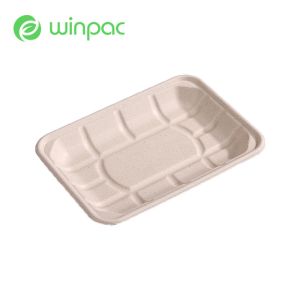 Quality Paper Fruit 8in Sugarcane Bagasse Tray Pulp Eco Biodegradable Sustainable for sale