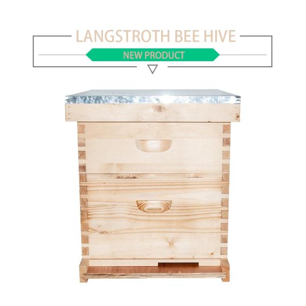 10 Frames Langstroth 2 Layers Complete Beehive Wax Coated For Beekeeping