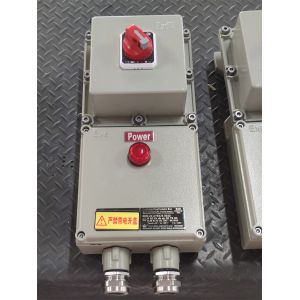 Energy- ATEX Explosion-proof Control Station Flameproof Electrical Control Boxes