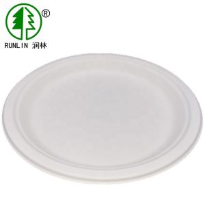 Quality Eco Friendly Strong Compostable and Biodegradable Non Plastic Plates for sale