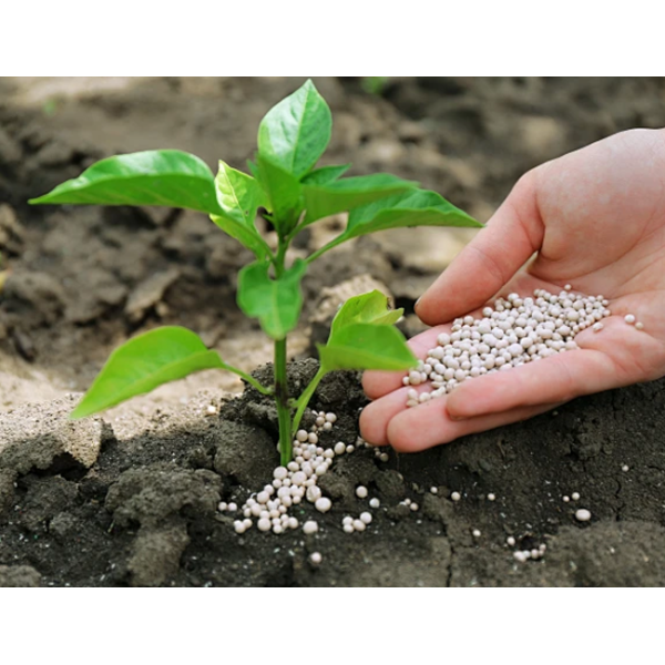 Compound NPK Fertilizer Multi Nutrient Enhanced Crop Growth