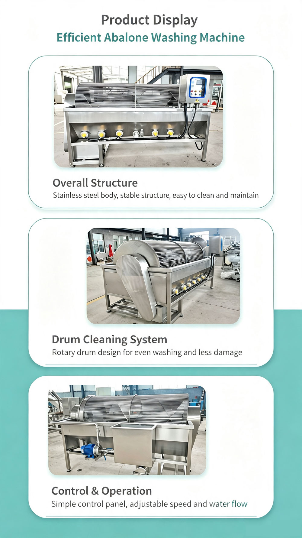 Continuous High Pressure Water Spray Abalone Cleaner Matching Shellfish Processing Production Line for Aquatic Product Factory