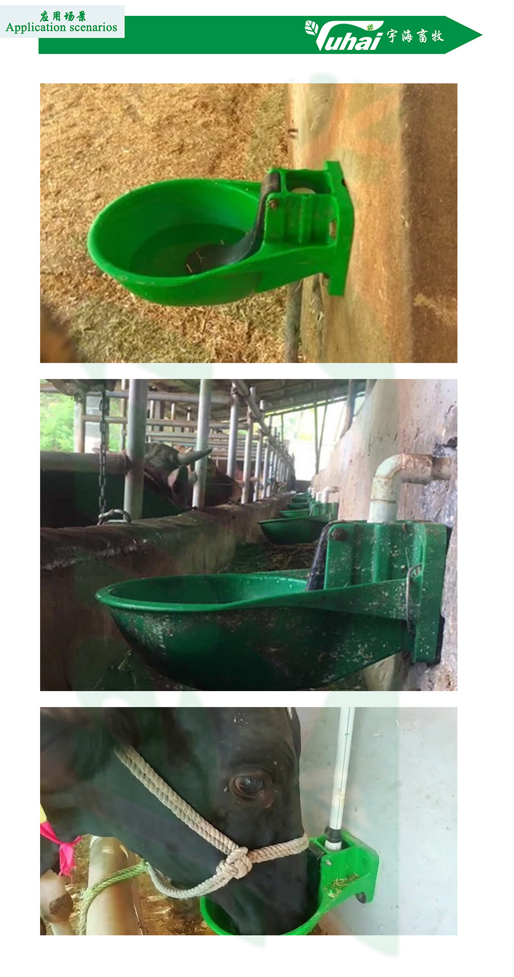 2.6L Livestock Water Bowl For Horse And Cow Animal Drinking Bowl