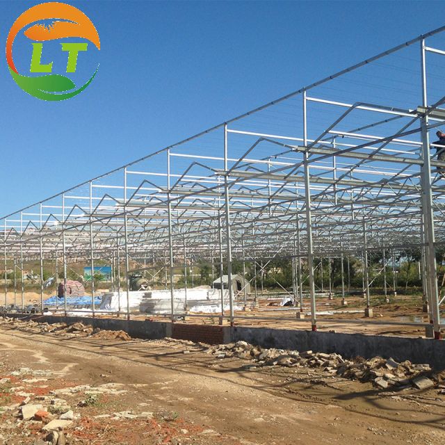 Pressure-Resistant Glass House for Large-Scale Growth of Vegetable Fruits and Flowers