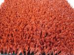 Red Coloured Fibrillated PE Artificial Commercial Artificial Grass
