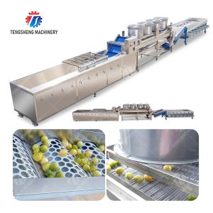 Quality Passion Fruit Bubble Cleaning And Drying Sorting Production Line for sale