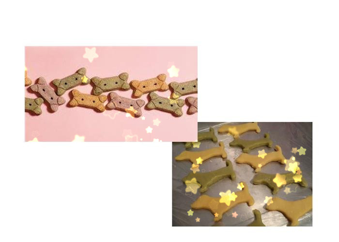  Colored Dog Biscuit Making Machine
