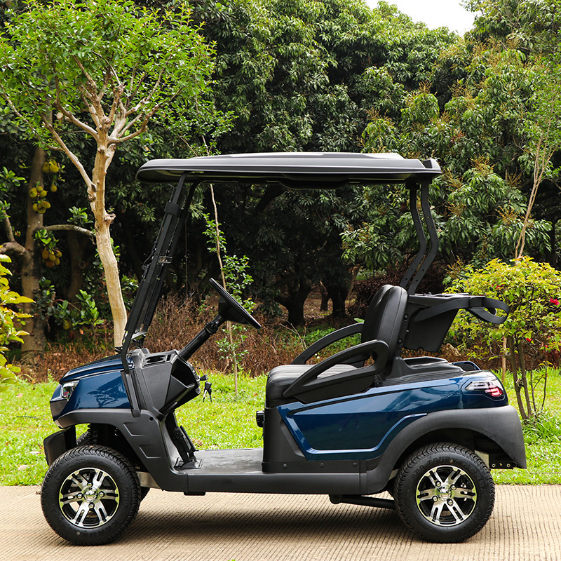 Affordable 2 Seaters Electric Golf Cart With Lithium Battery