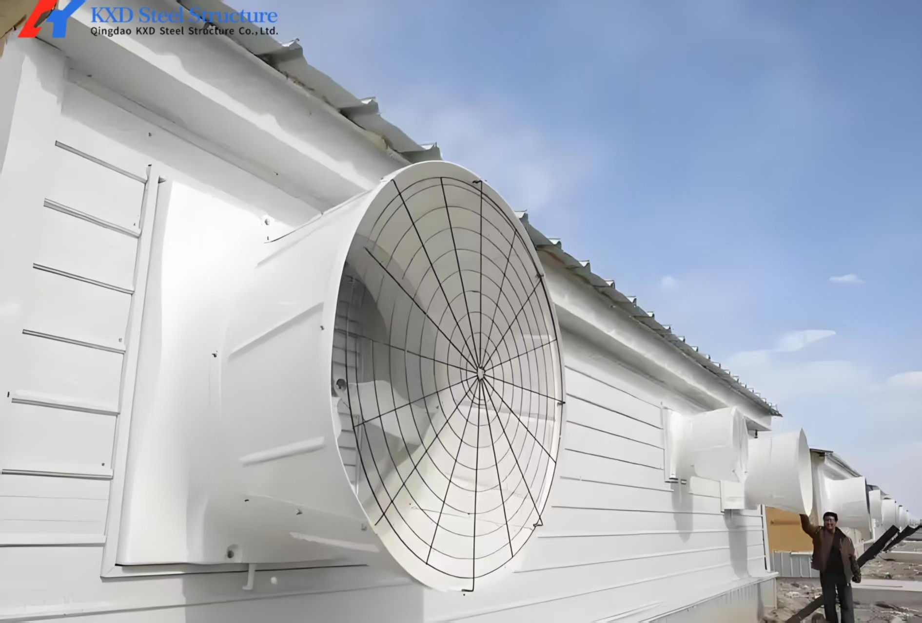 Poultry Farm Chicken Feeding Line Automatic Poultry Pan Feeding System