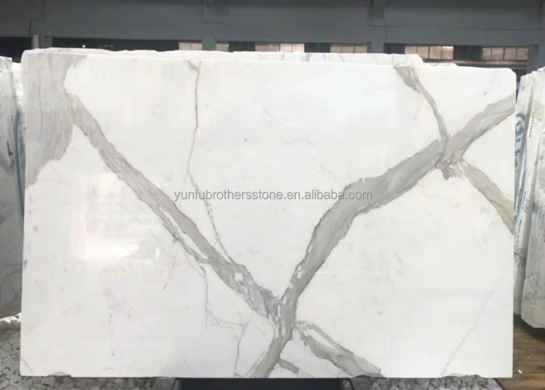 Home Decor Modern Fish Belly White Marble Stone Slabs for Living Room and Floor Tiles